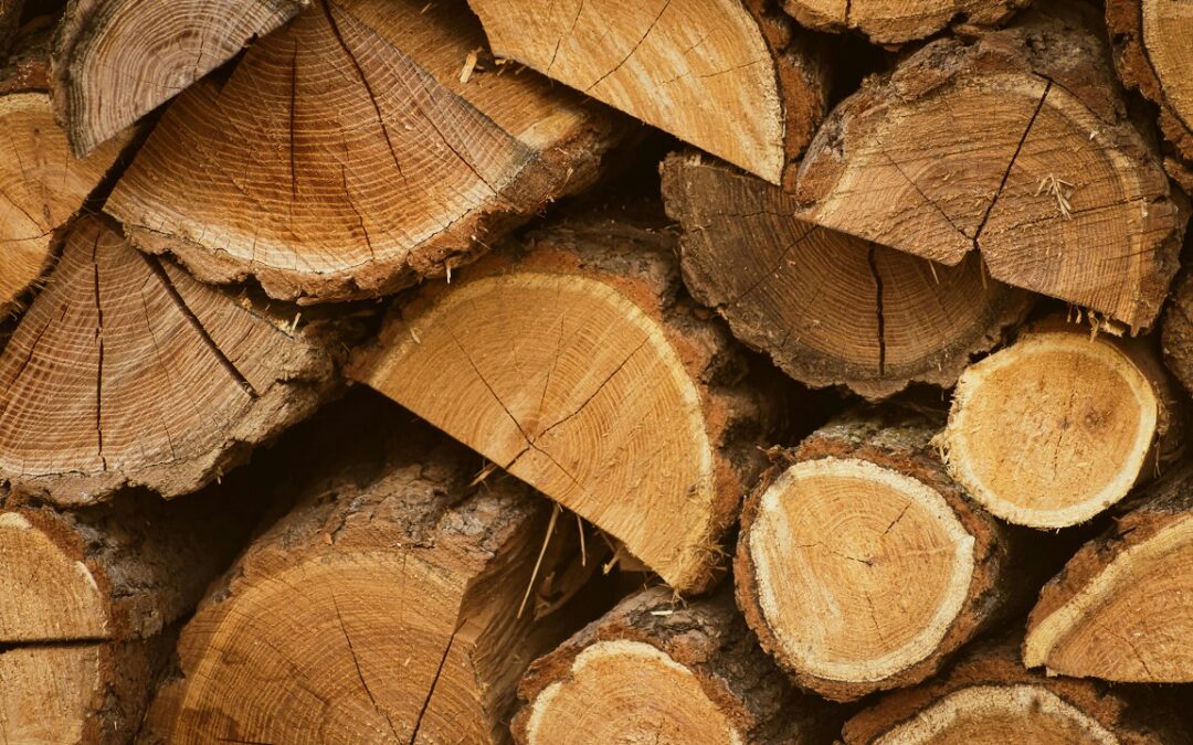 Mengenal Kayu Ulin, Si Kuat nan Elegan untuk Hunian yang Estetik