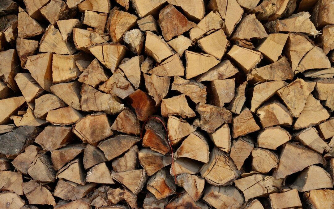 Wajib Tahu! Inilah 5 Perbedaan Kayu Jati dan Merbau